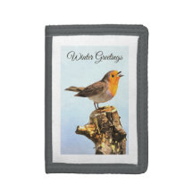 Winter Greetings. Robin singing 