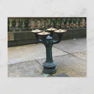 Portland Benson Bubblers #1 Postcard Postkarte