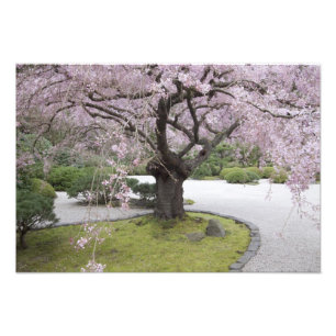Portland Japanese Garden, Portland, Oregon, Fotodruck