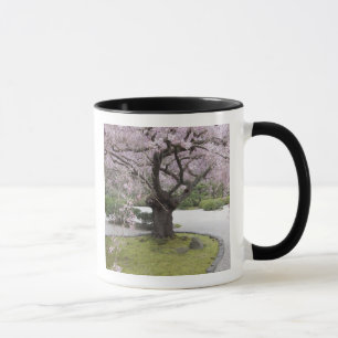 Portland Japanese Garten, Portland, Oregon, Tasse