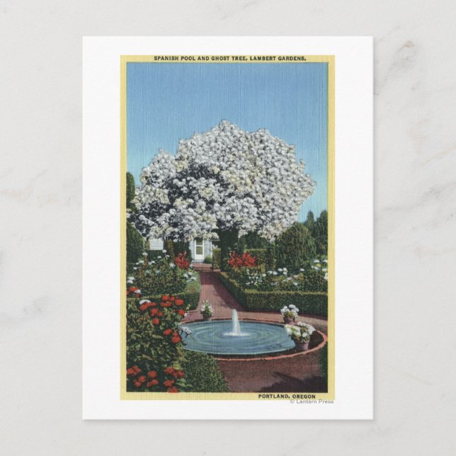 Portland, Oregon - Spanischer Pool und Ghost Tree Postkarte (Vorderseite)