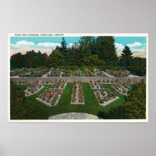 Portland, OregonView der Rosen-Test-Gärten Poster