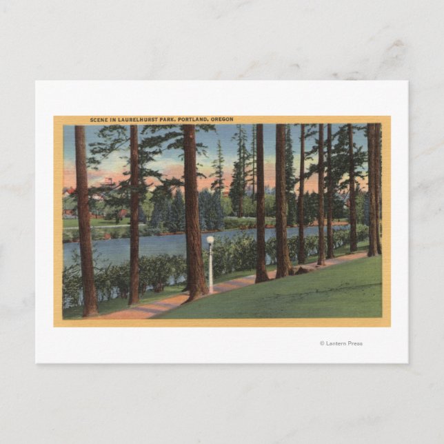 Portland, ORScene im Laurelhurst Park Postkarte (Vorderseite)