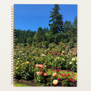 Portland Rose Garden
