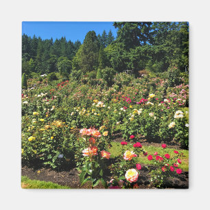 Portland Rose Garden, OR Magnet