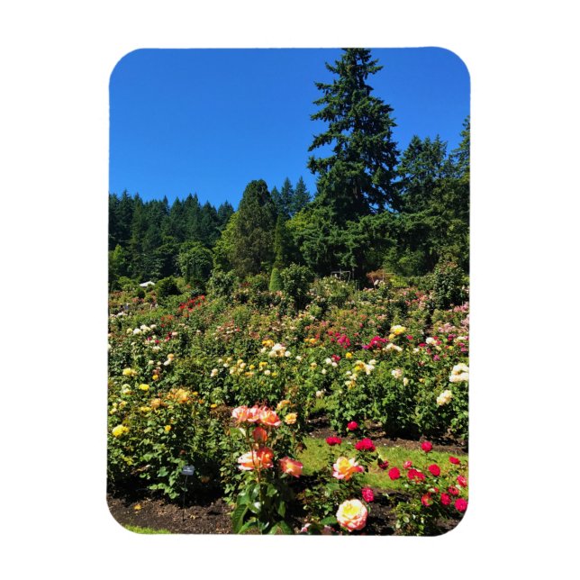 Portland Rose Garden, OR Magnet (Vertikal)