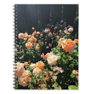 Portland Rose Garden, OR Notizblock