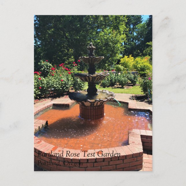 Portland Rose Garden, OR Postkarte (Vorderseite)