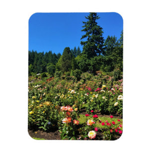 Portland Rosengarten, OR Magnet