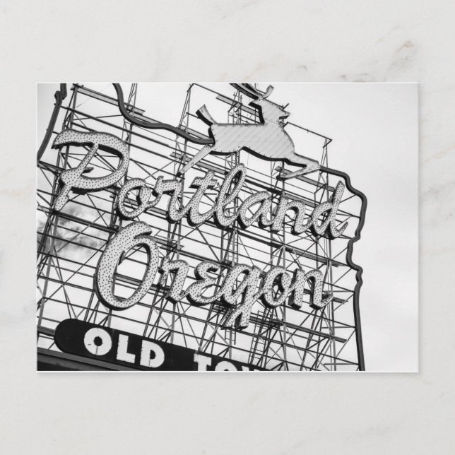 Portland Stag Postkarte (Vorderseite)