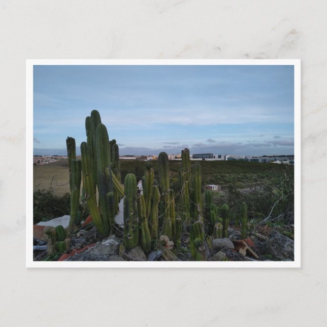Porto Salvo (Portugal) Postkarte (Vorderseite)