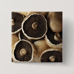 Portobello Pilze im weißen Hintergrund Button