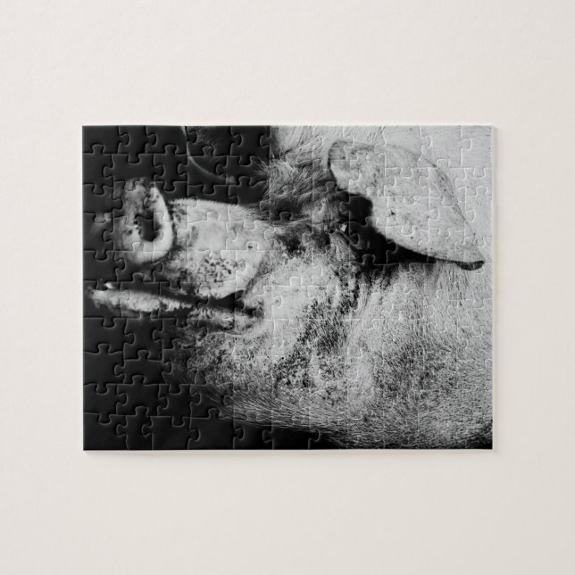 Portrait (Horizontal)