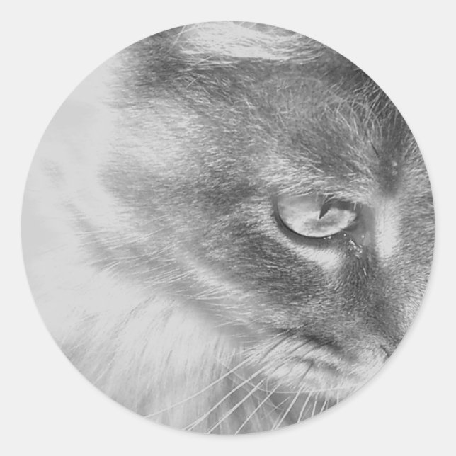 Portrait "Angel Kitty" Runder Aufkleber (Vorderseite)