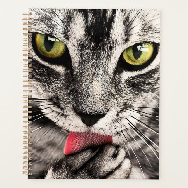 Portrait animal animal animal animal de compagnie  (Devant)