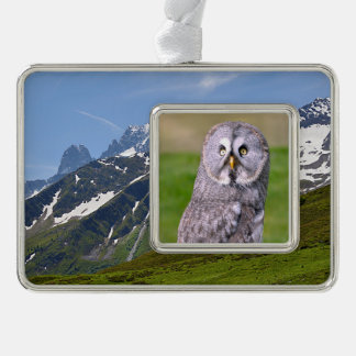 Portrait aus grauem Eule, Postkartenaufkleber Rahmen-Ornament Silber
