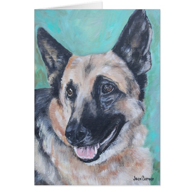 Portrait d'animal familier - berger allemand (Devant)