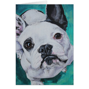 Portrait d'animal familier - bouledogue français