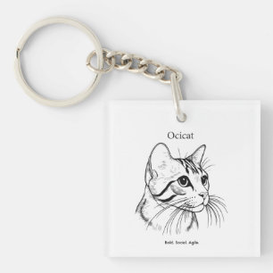 Portrait de chat Ocicat