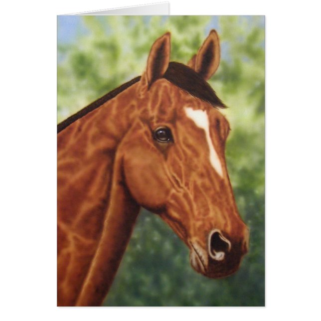 Portrait de cheval (Devant)