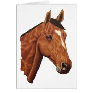 Portrait de cheval