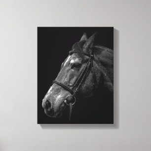 Portrait de cheval - toile enveloppée