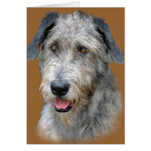 Portrait de chien-loup irlandais