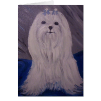 portrait de chiot
