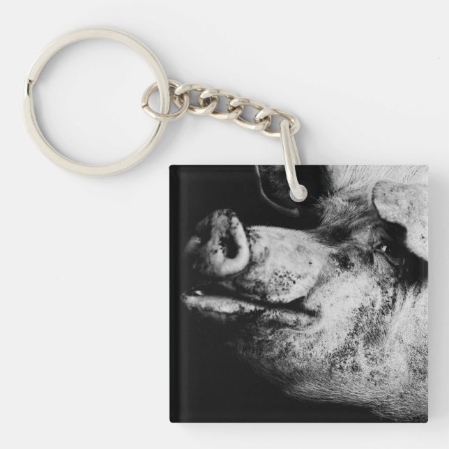 portrait de cochon (Devant)