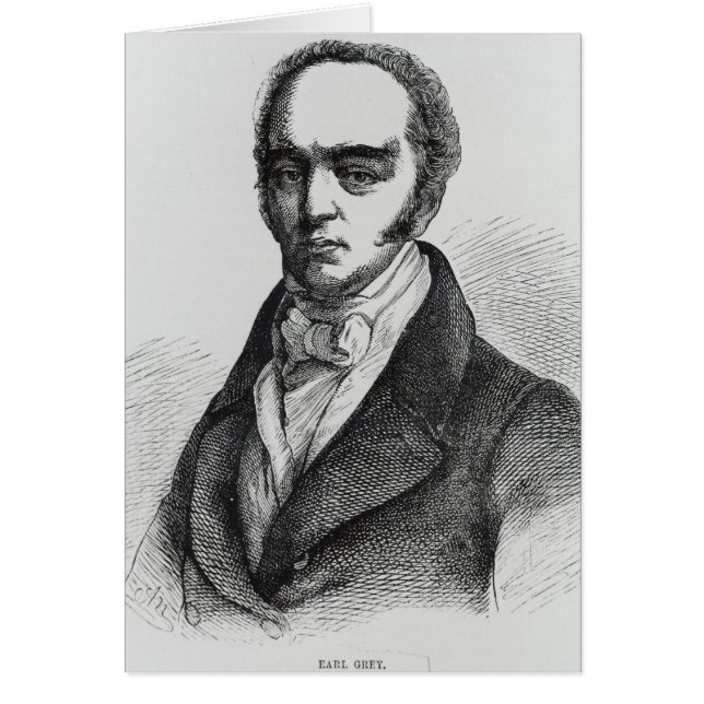 Portrait de gris de comte (Devant)