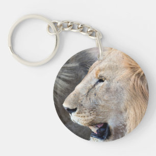 Portrait de Lion
