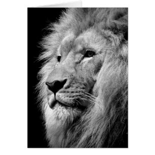 Portrait de Lion noir blanc - Photographie d'anima