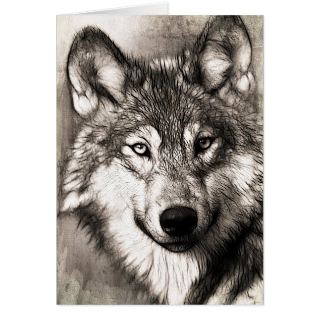 Portrait de loup (Devant)