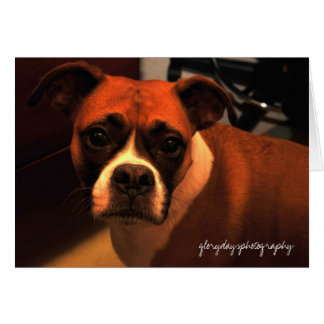 Portrait de Lucie Monroe