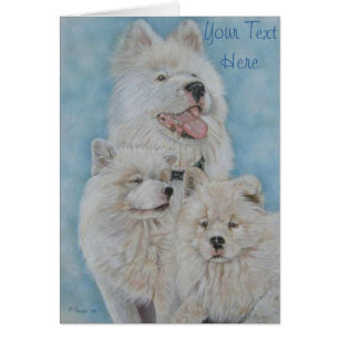 portrait de mignon blanc long manteau akita chien