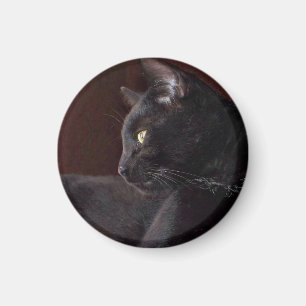 Portrait de mon garçon, Charlie Magnet