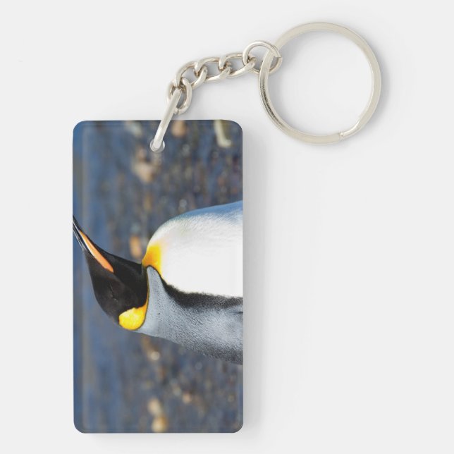Portrait de pingouin (Dos)