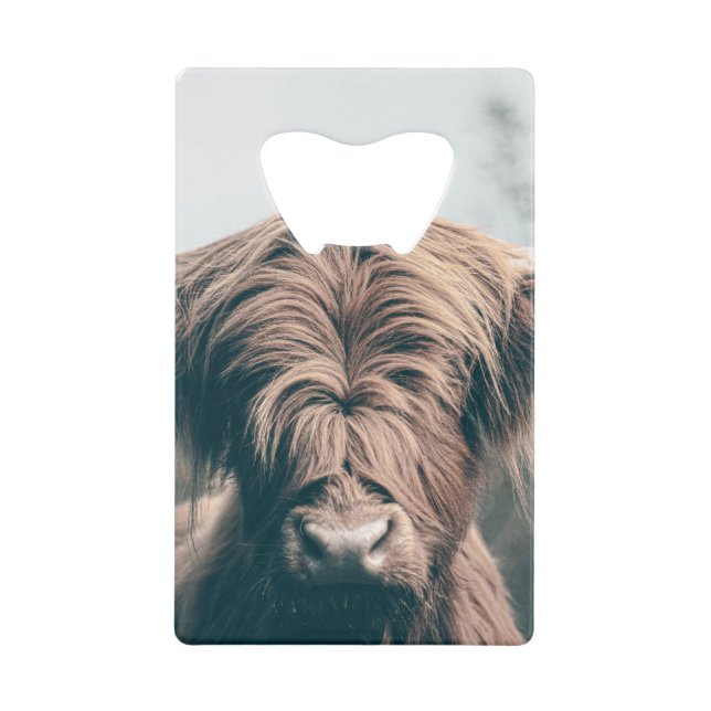 Portrait de vache Highland (Devant)