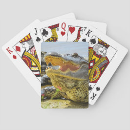 Portrait der amerikanischen Alligatorin - Gesichte Spielkarten