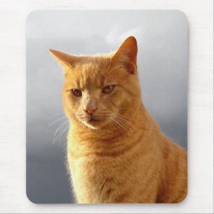 Portrait der Katze Merlin Mousepad