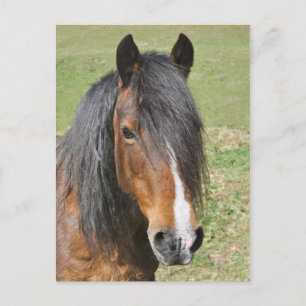Portrait der walisischen Bucht Postkarte