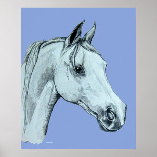 Portrait des Arabischen Pferdepfarrens auf blauem Poster