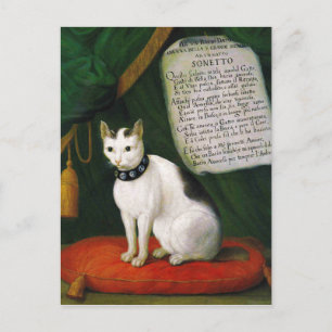 Portrait des Cat Armellino Postkarte
