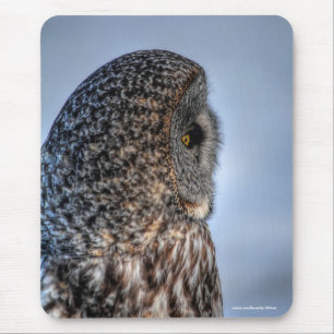 Portrait des Fotos "Great Gray Owl Wildlife" Mousepad
