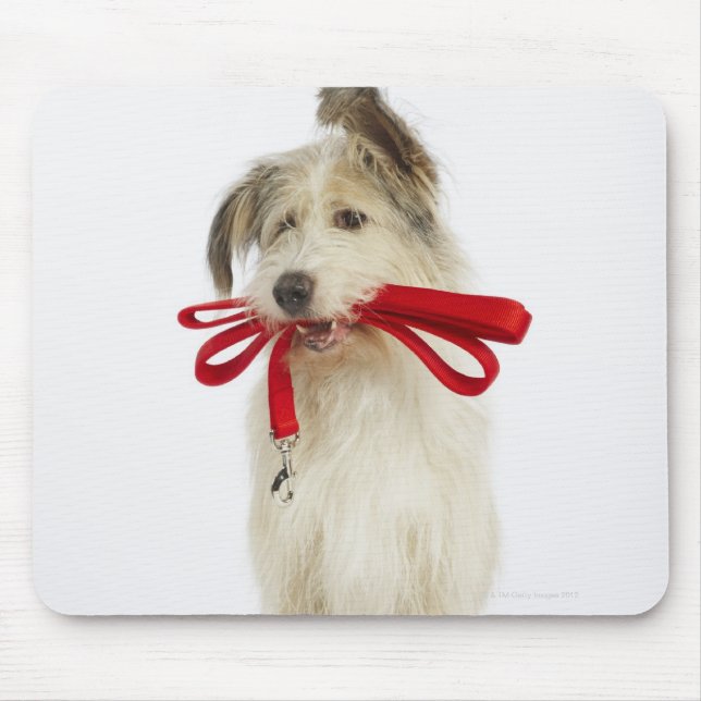 Portrait des Hundes mit Leash Mousepad (Vorne)