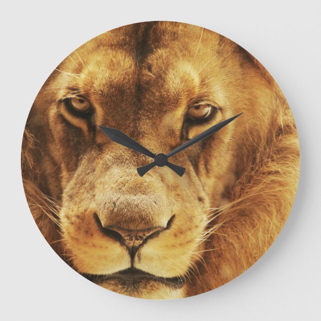 Portrait des männlichen afrikanischen Löwen. Große Wanduhr (Vorderseite)