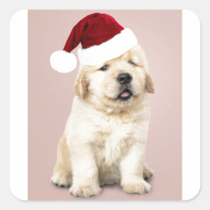 Portrait des Niedlichen Goldenen Retriever Quadratischer Aufkleber