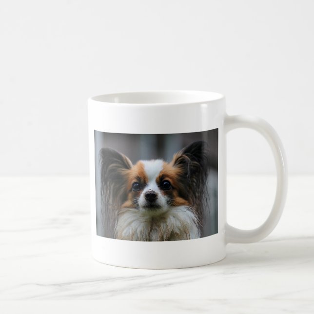 Portrait des reinrassigen Papillon-Hundes Kaffeetasse (Rechts)