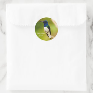 Portrait des stickers ronds de contemplation