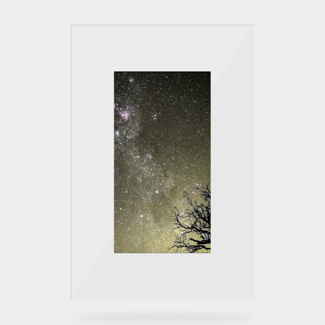 Portrait d'évasion lunaire par Chrome Kitten  (Recto)